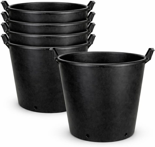 Litre large plant - 5,