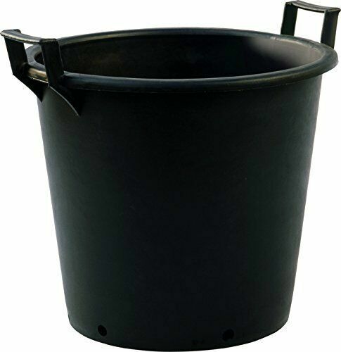 Large tree planters - tree, pots