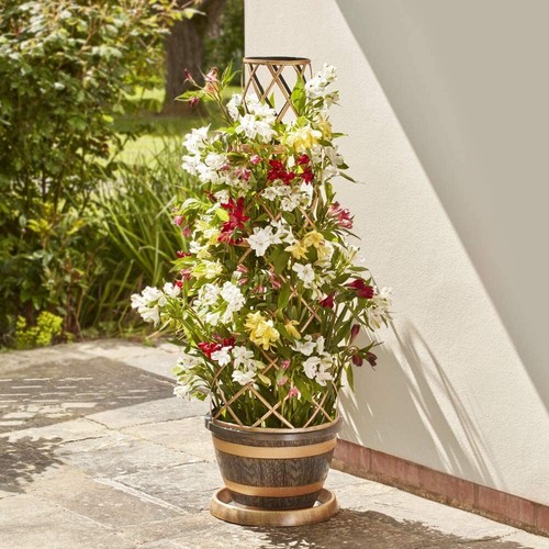 Outdoor garden flower tower - outdoor,