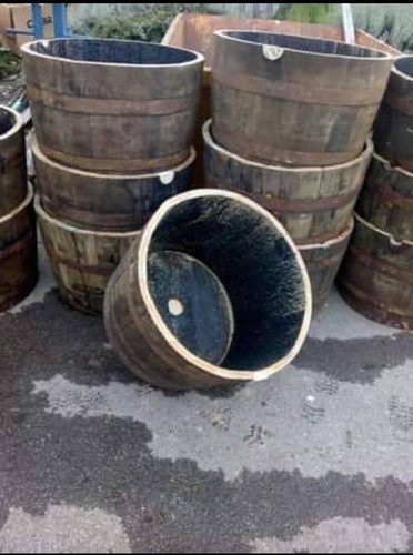 Large oak half whisky - oak,