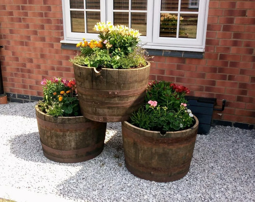 Half whisky barrel planter pot - whisky,