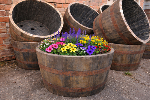 Half oak whiskey barrel - oak,